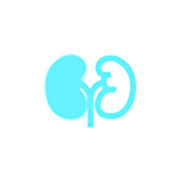 handheld portable ultrasound device application left kidney