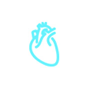 handheld portable ultrasound device application cardiac