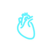 handheld portable ultrasound device application cardiac