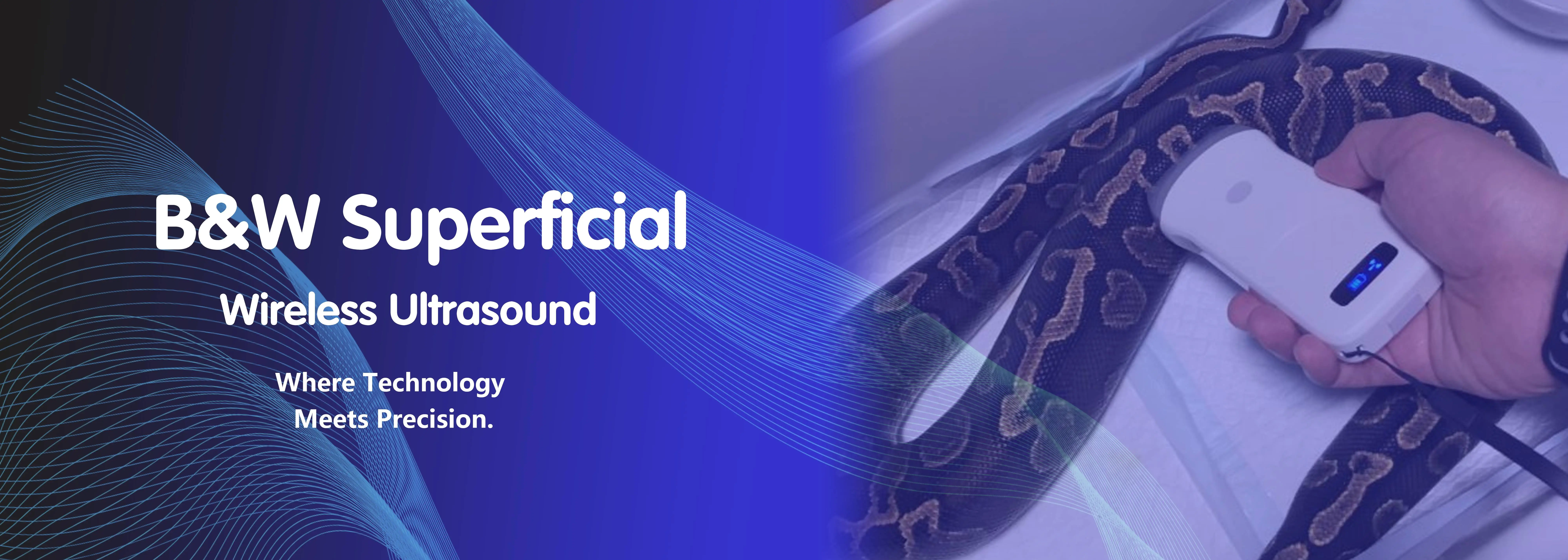 B&W Superficial Ultrasound