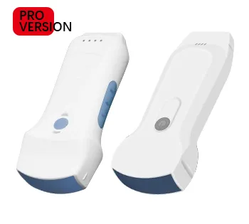 Dual Probes Multipurpose Ultrasound